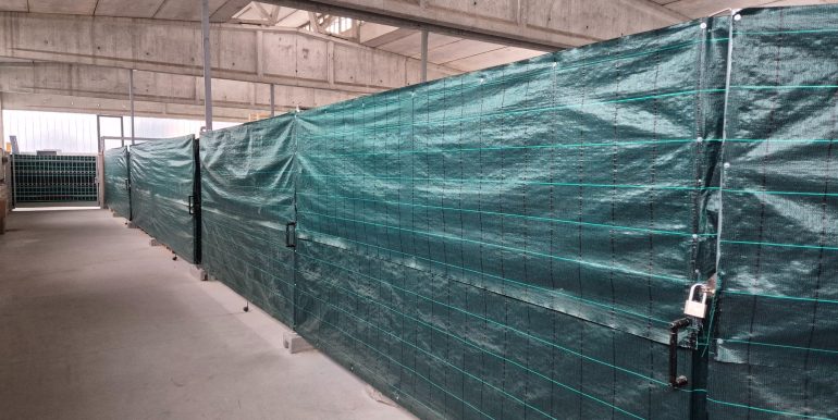 immagine_1_compressed