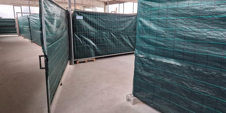 immagine_2_compressed