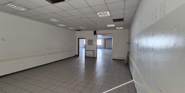 20260218_102531 (Copy)