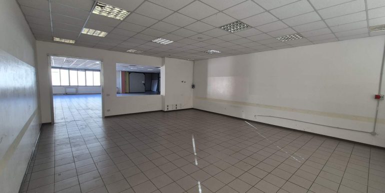 20260218_102600 (Copy)