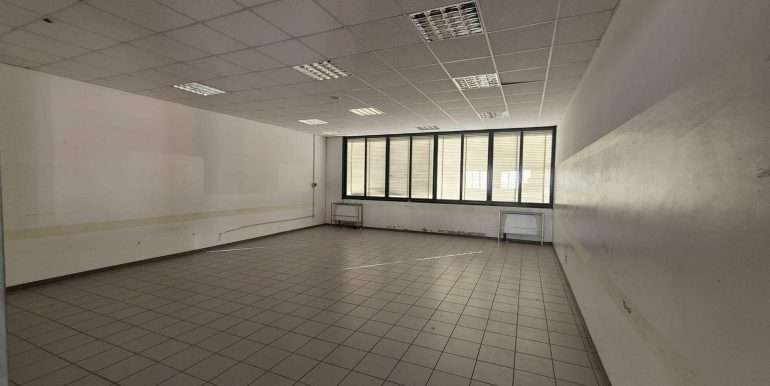 20260218_102610 (Copy)