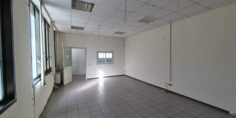 20260218_102629 (Copy)