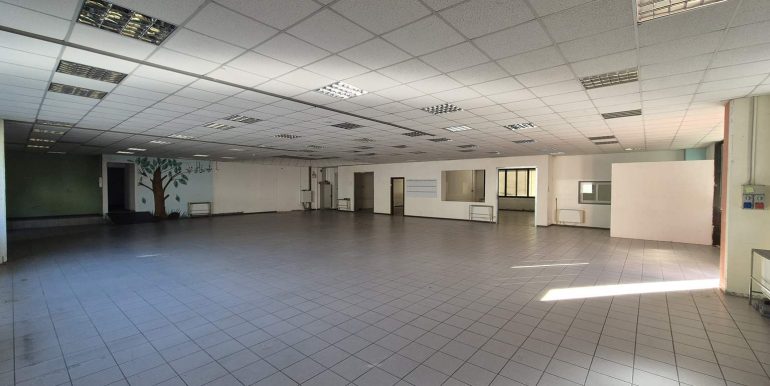 20260218_102713 (Copy)