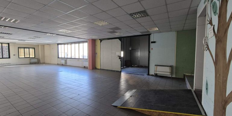 20260218_102816 (Copy)