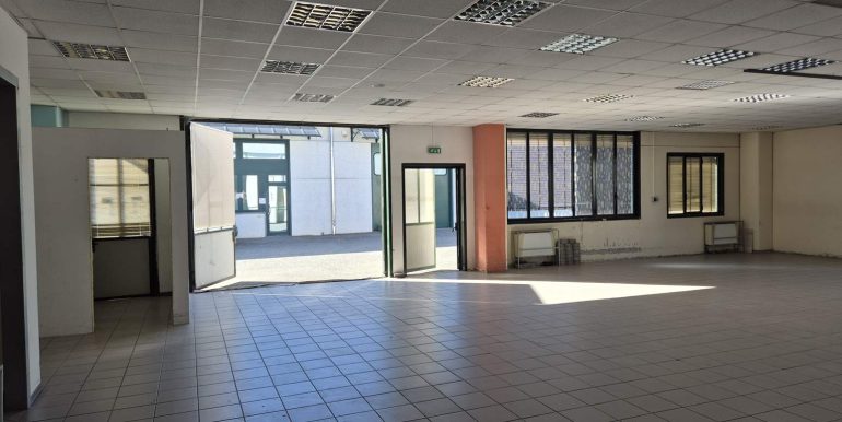 20260218_103221 (Copy)